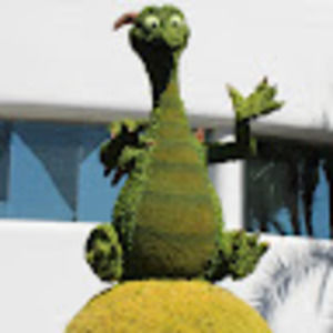 Meet your Posher, Hollie